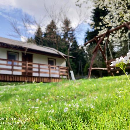 Wierchowyna Villa Uherce Mineralne Esterno foto