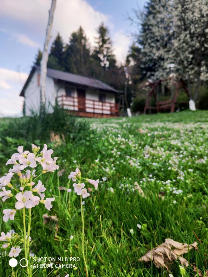 Wierchowyna Villa Uherce Mineralne Esterno foto