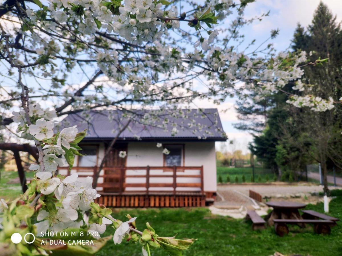 Wierchowyna Villa Uherce Mineralne Esterno foto