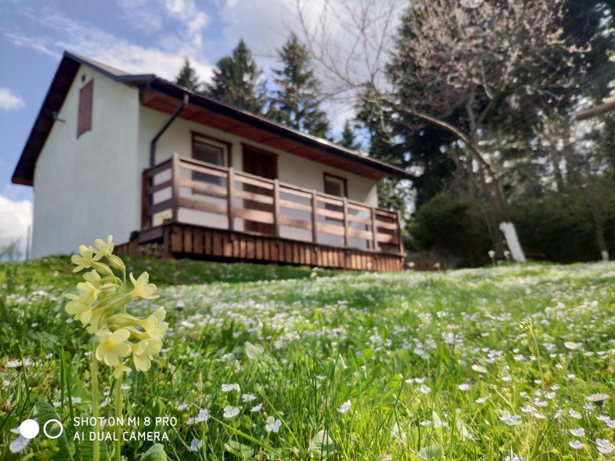 Wierchowyna Villa Uherce Mineralne Esterno foto